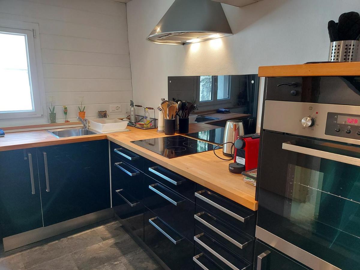 Appartement Voute En Gruyere Dans L'Intyamon Enney Eksteriør bilde